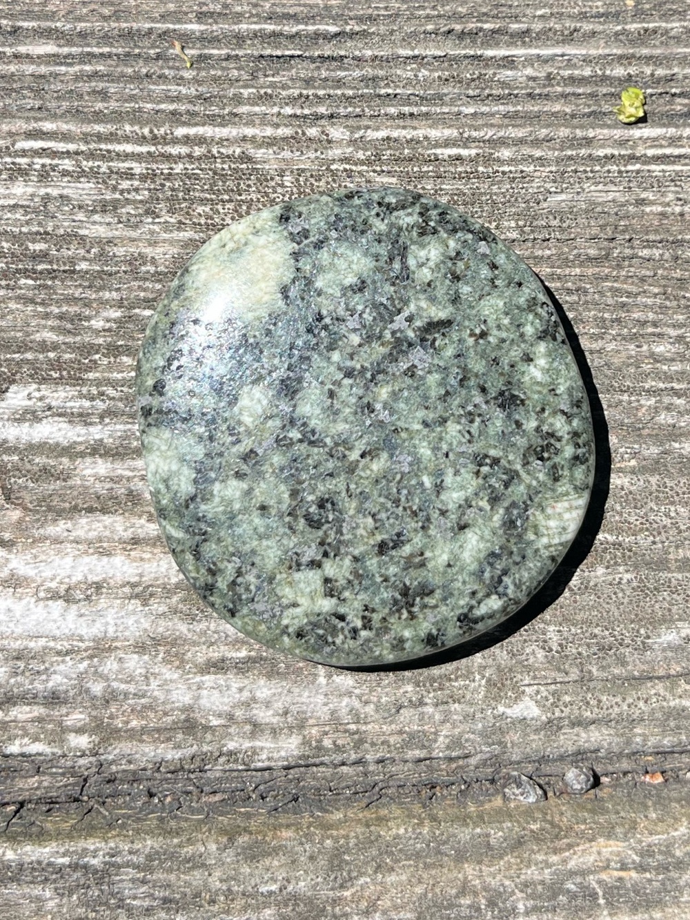 Preseli Bluestone Palm